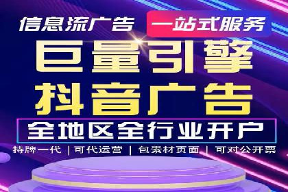 XX行业竞价广告的投放策略与效果分析